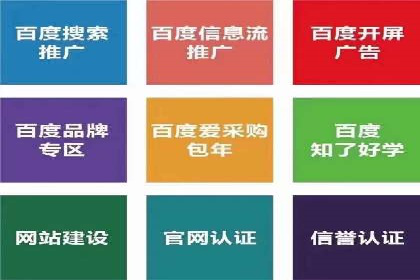 竞价广告的投放策略与效果评估——以一成功企业为例